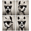 Photobox Alpaca with Sunglasses