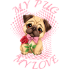 Pug Dog