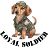 Dog as a soldier