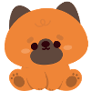 Cute German Shepherd