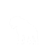 Sabre-toothed tiger
