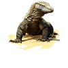 Komodowarane Komodowaran