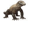 Komodo dragons Komodo dragon