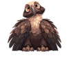 Vulture Geier