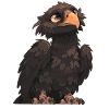 Vulture Geier
