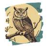 Owl Retro