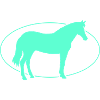 Pferd Horse