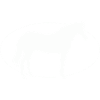 Pferd Cheval