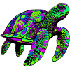 Sea turtle