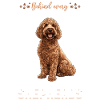 Propriétaire de chien Goldendoodle