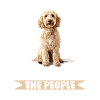 Propriétaire de chien Goldendoodle