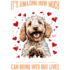 Propriétaire de chien Goldendoodle