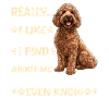 Propriétaire de chien Goldendoodle
