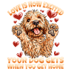 Goldendoodle Dog Owner