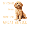 Goldendoodle Dog Owner
