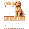 Propriétaire de chien Goldendoodle