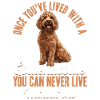 Goldendoodle Dog Owner