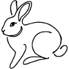 Rabbit
