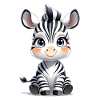 Baby Zebra