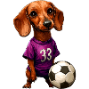 Calcio bassotto