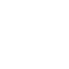 USA Conseiller Scolaire Américain