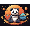 Panda im Weltraum