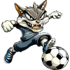 Footballer Cat