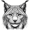 Luchs