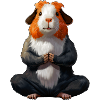 Yoga Cochon d’Inde