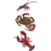 CRUSTACEANS