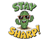 Stay Sharp Kaktus