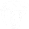 Sabre-toothed tiger