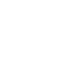Sabre-toothed tiger