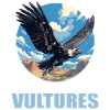 Vulture Geier