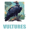 Vulture Geier