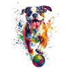 Amerikanische Bulldogge