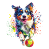 Australischer Schäferhund