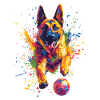 Belgischer Malinois