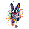 Boston Terrier