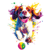 Cavalier King Charles