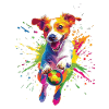 Jack Russell Terrier