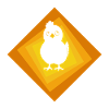 Chicken Egg
