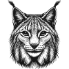 Lynx