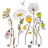 Gartenblumen
