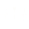 Fléchettes Heartbeat Dart Player 180