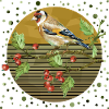 Bunter Vogel