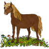 Pferd