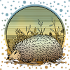 Igel