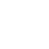 HOMO SAPIENS