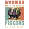 Pigeon Lovers Pigeons Bird Lovers